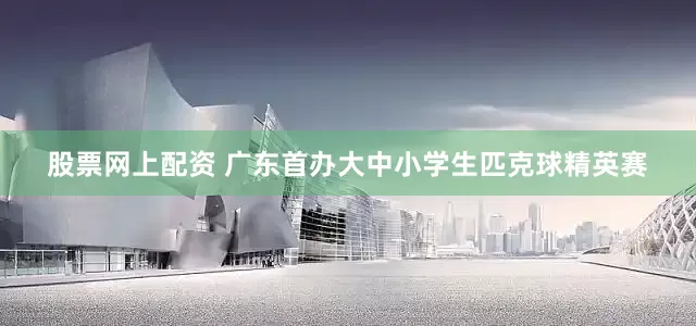 股票网上配资 广东首办大中小学生匹克球精英赛
